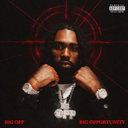 Big Opportunity cover image cdn