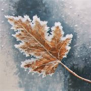 Softly cover image cdn