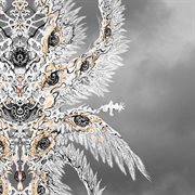 Woman cover image cdn