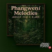 Phangweni Melodies cover image cdn