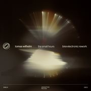 The Small Hours (Birø Electronic Rework) cover image cdn