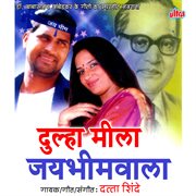Dulha Mila Jaybhimwala cover image cdn