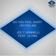 Do You Feel What I'm Feeling (Feat. Vlynn) cover image cdn