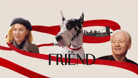 The Friend cover image cdn
