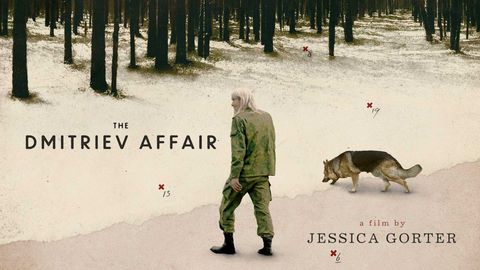 The Dmitriev Affair cover image cdn