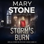 Storm's Burn cover image cdn