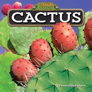 Cactus cover image cdn