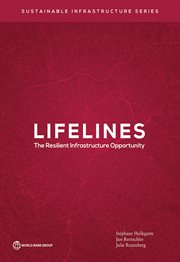 Lifelines : The Resilient Infrastructure Opportunity cover image cdn