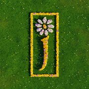 Nothing But Love - The Definitive Best Of cover image cdn