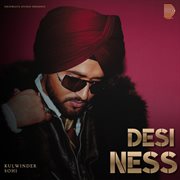 Desi-Ness cover image cdn