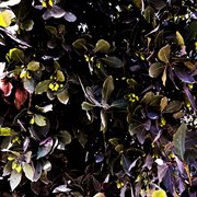 A Burial cover image cdn