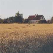 Storm cover image cdn