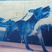 Still Blank cover image cdn