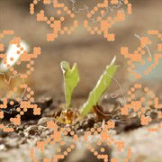 ᵒ˶°́ cover image cdn