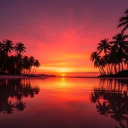 Rosewood Harmony Line cover image cdn