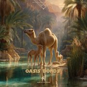 Oasis Bonds cover image cdn