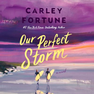 Our Perfect Storm cover image cdn