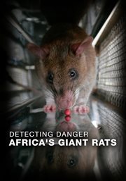 Detecting Danger - Africa's Giant Rats cover image cdn