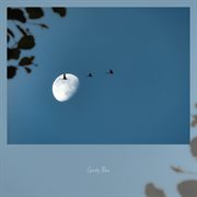 Blue Moon cover image cdn