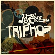The Many Sounds Of Trip Hop cover image cdn