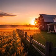 Sunset On The Farm cover image cdn