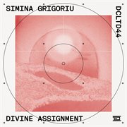 Divine Assignment (Extended Mix) cover image cdn