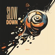 Slow Down cover image cdn