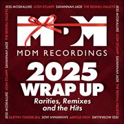Mdm Recordings 2025 Wrap Up - Rarities, Remixes And The Hits cover image cdn