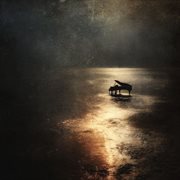 Where Light Rests Softly cover image cdn