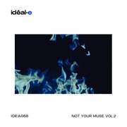 Not Your Muse Vol.2 cover image cdn