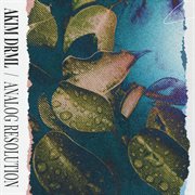 Analog Resolution cover image cdn