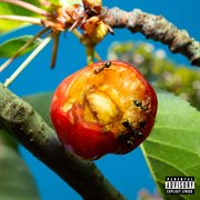 Discordia, Armonia E Altri Stati D'animo cover image cdn