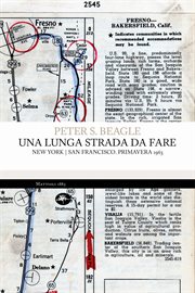 Una lunga strada da fare cover image cdn