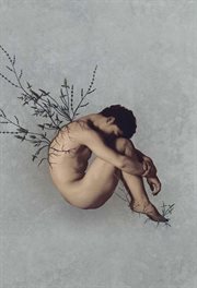 Céu Noturno Crivado De Balas cover image cdn