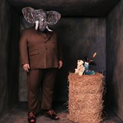 White Whiskey cover image cdn