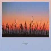 Actually cover image cdn