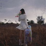 青番茄 cover image cdn