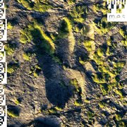 On Live cover image cdn