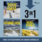 Deichfürst, Sturmfluch, Nebelschuld cover image cdn