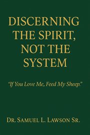 Discerning the Spirit, Not the System cover image cdn