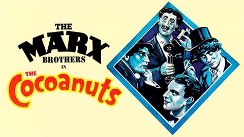 The Cocoanuts cover image cdn