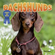 Dachshunds cover image cdn