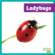 Ladybugs cover image cdn