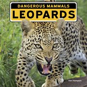 Leopards cover image cdn