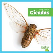 Cicadas cover image cdn