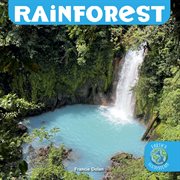 Rainforest cover image cdn