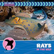 Rays in the Wild cover image cdn