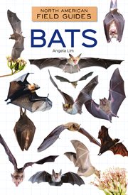 Bats cover image cdn