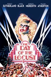 The Day of the Locust cover image cdn
