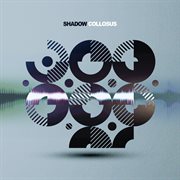 Shadow Collosus cover image cdn